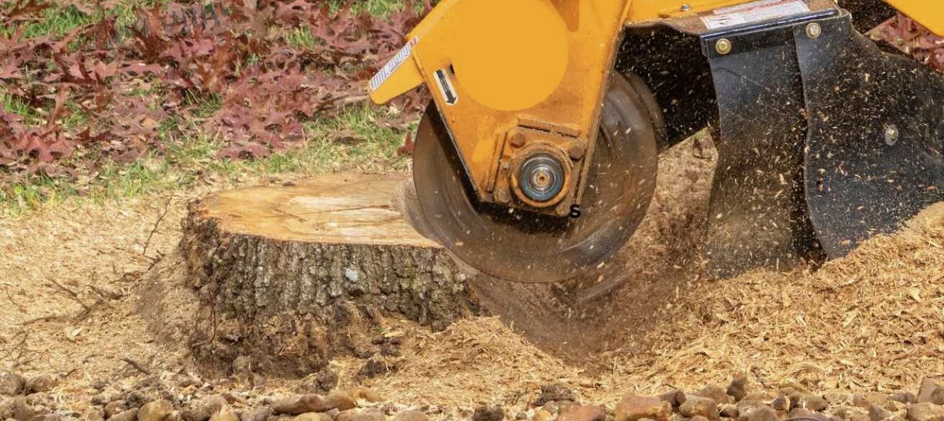 Professional stump grinding and removal equipment in action in Poinciana, FL