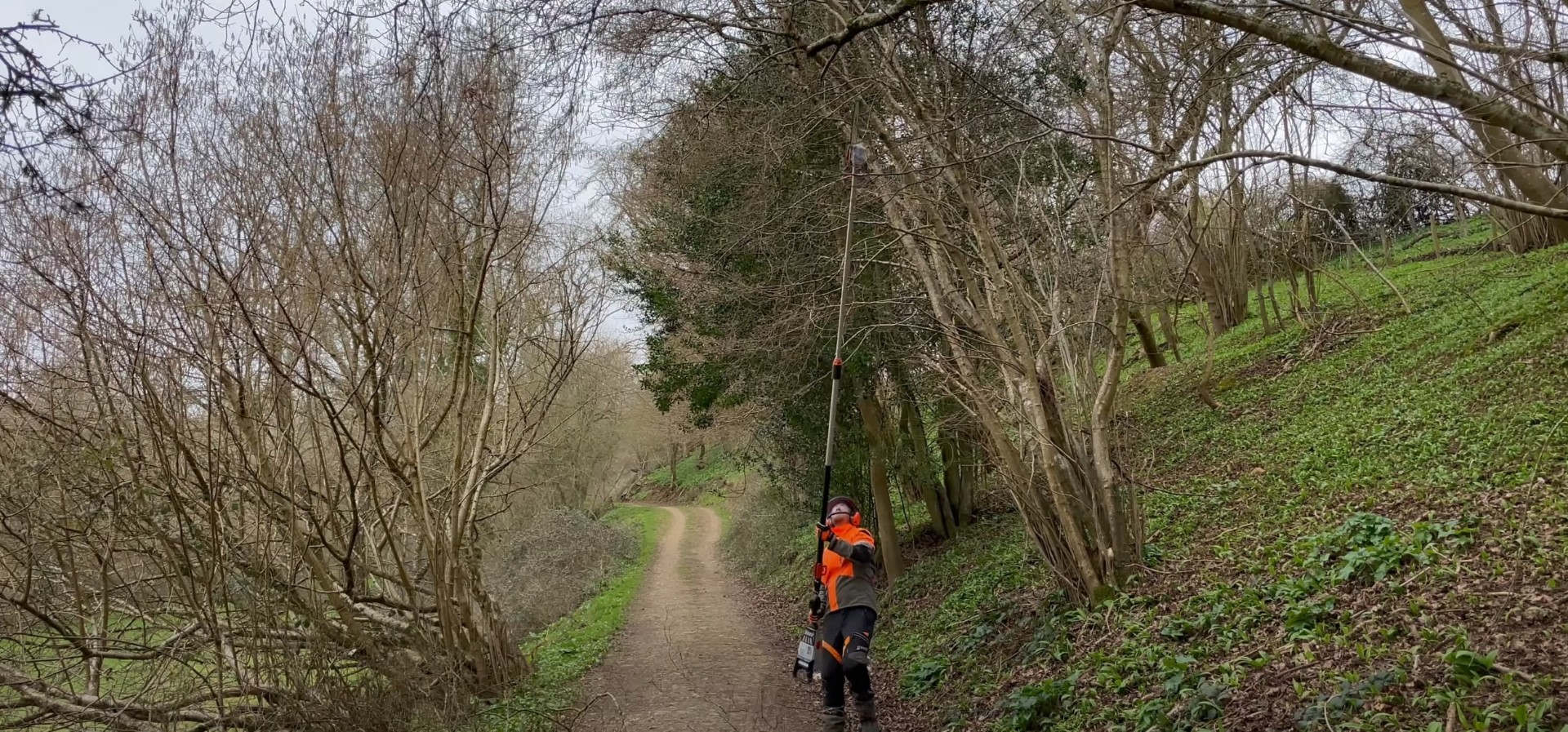Professional arborist providing tree care in natural woodland setting Arborist working in wooded area with professional tree cutting equipment